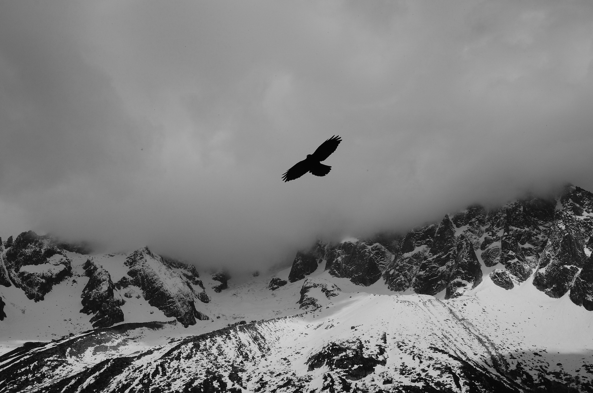 Do what you love, love what you do