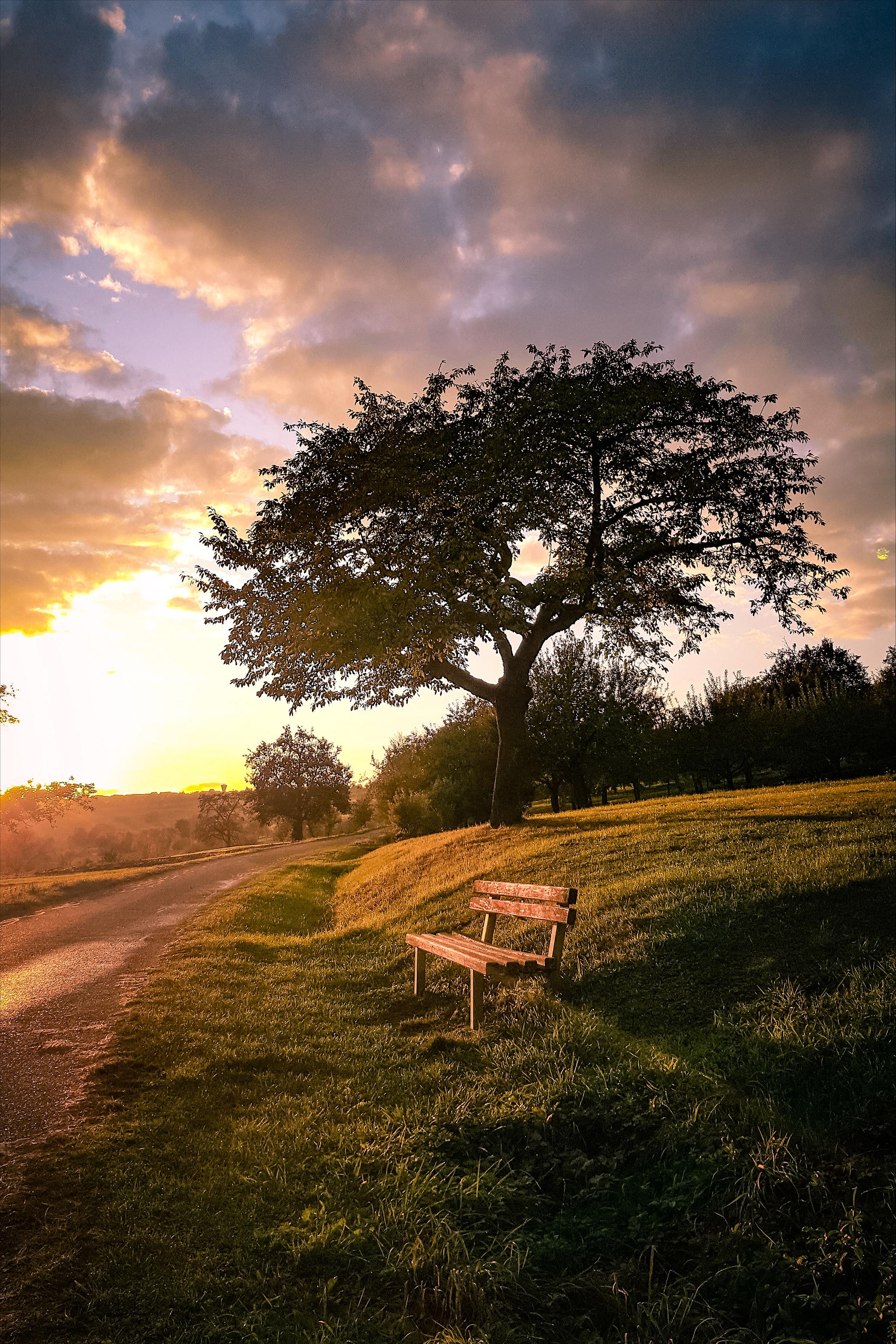 The Sunset