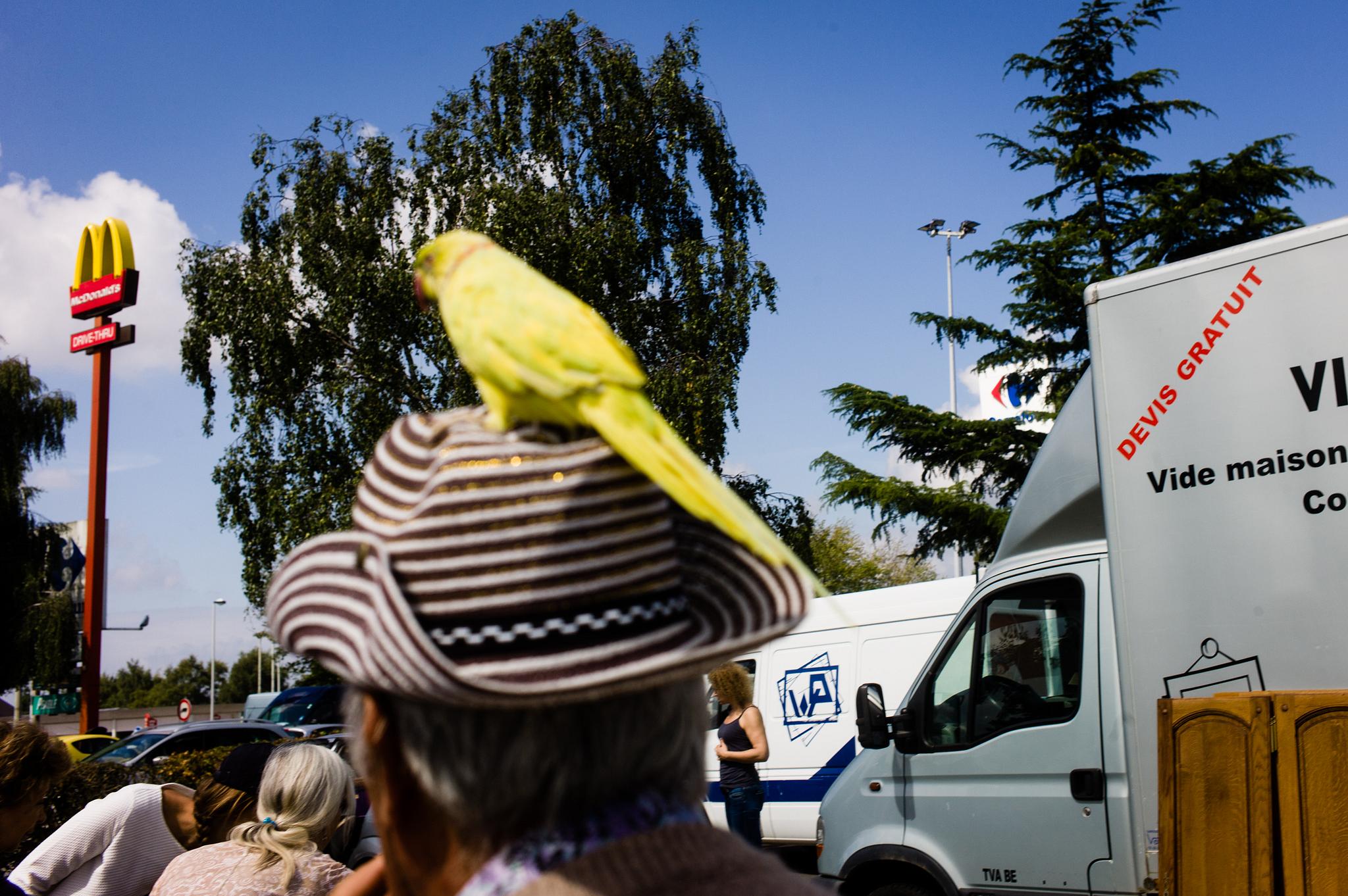 Street photography in Brussels workshop series 2025