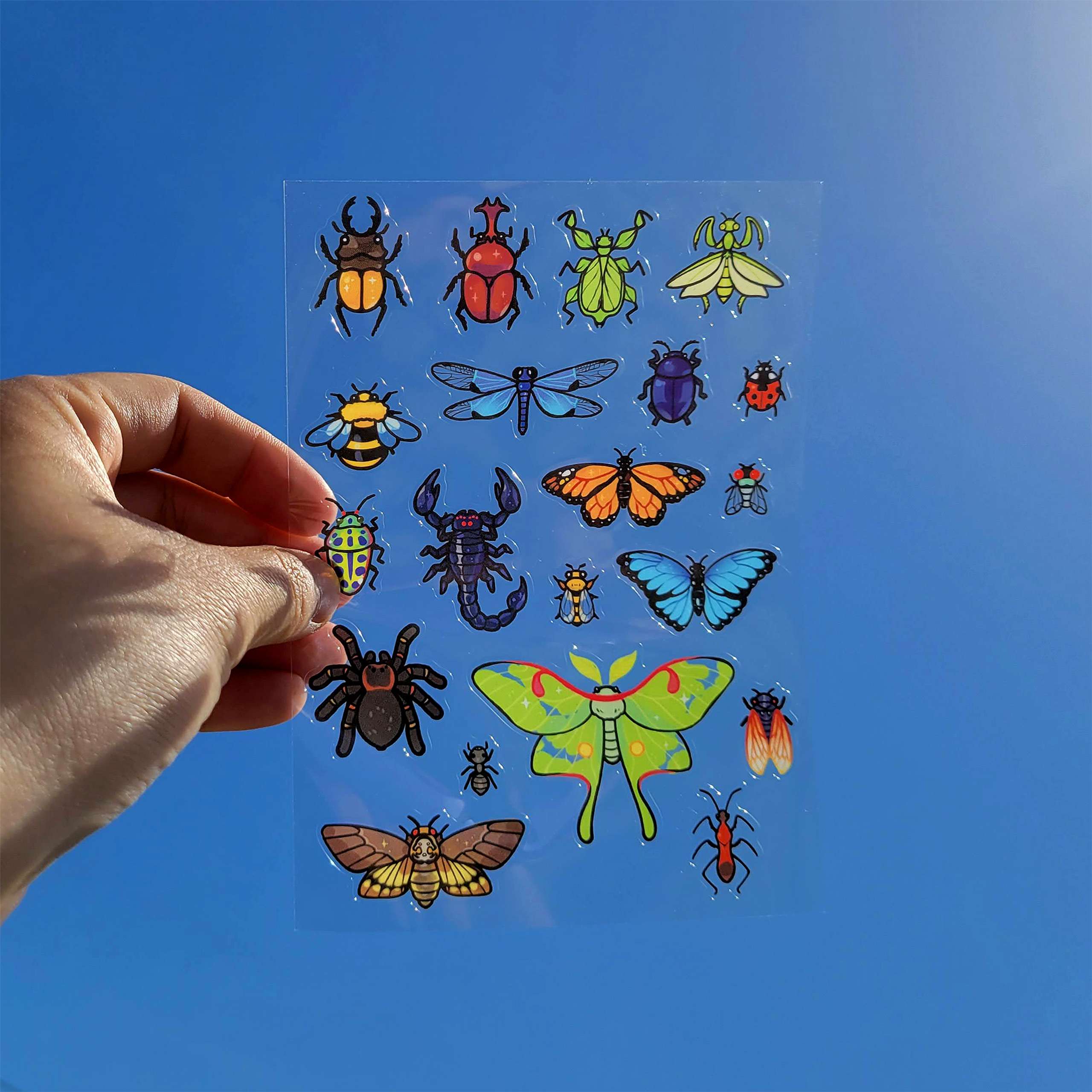 Insect sticker sheet
