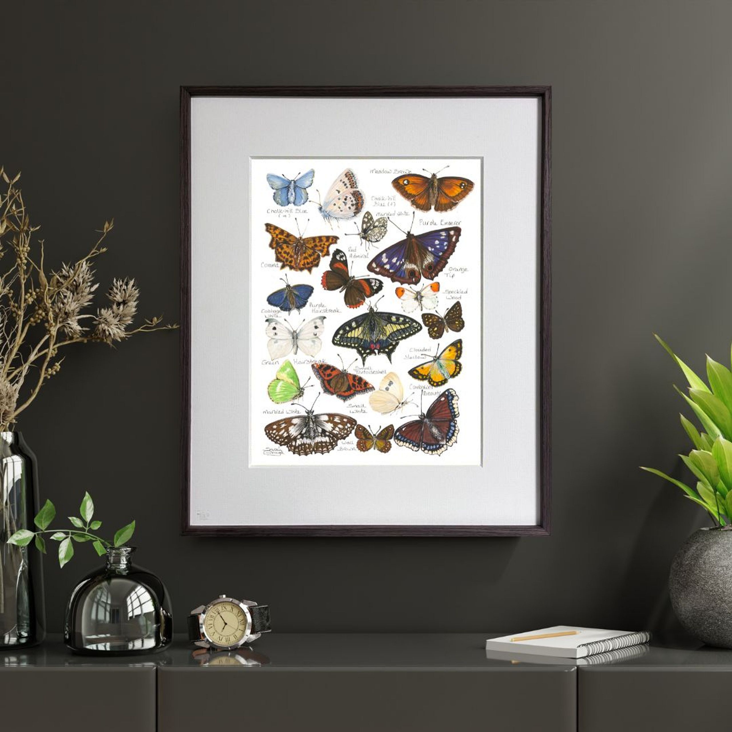 FINE ART PRINT Butterflies of Britain and Europe