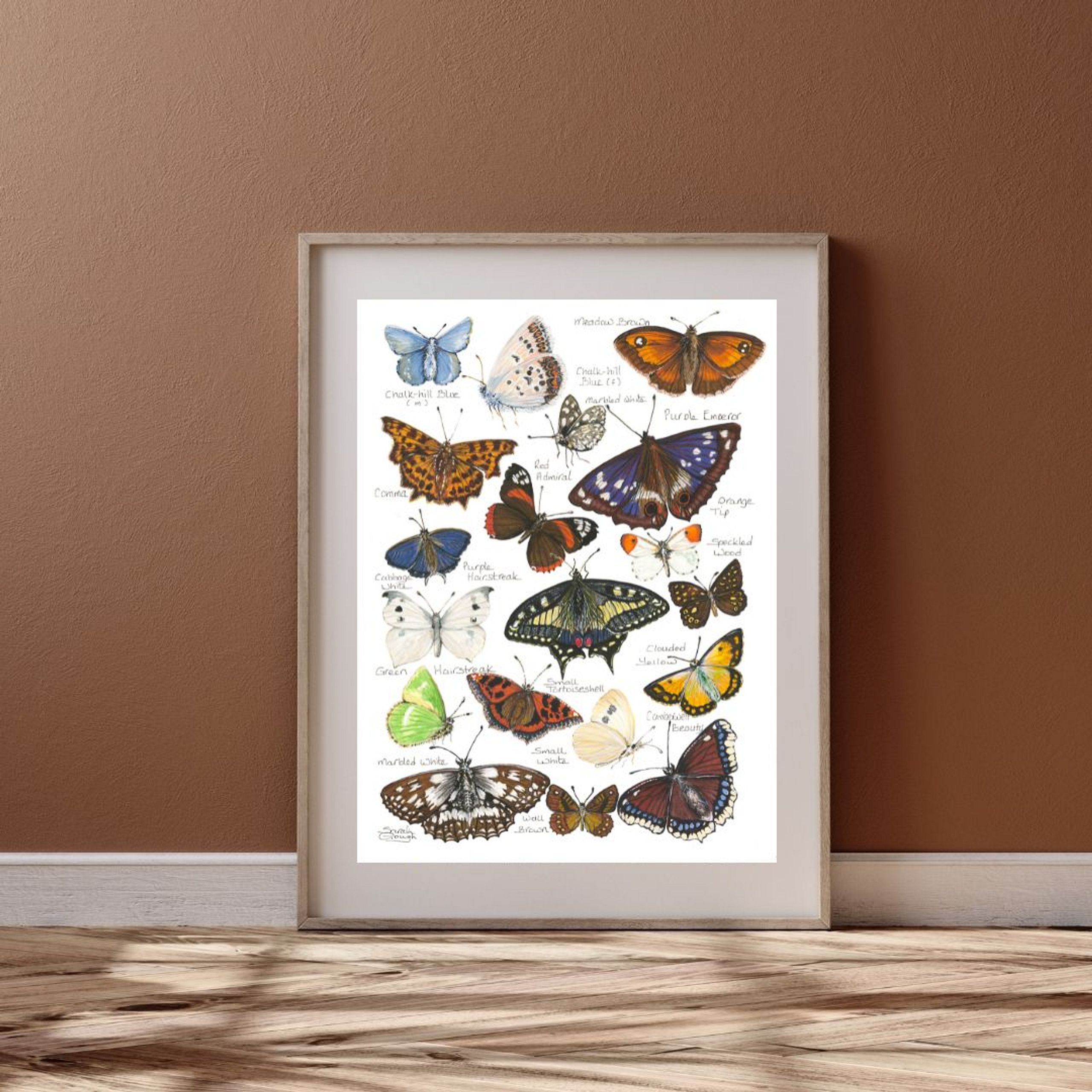 FINE ART PRINT Butterflies of Britain and Europe