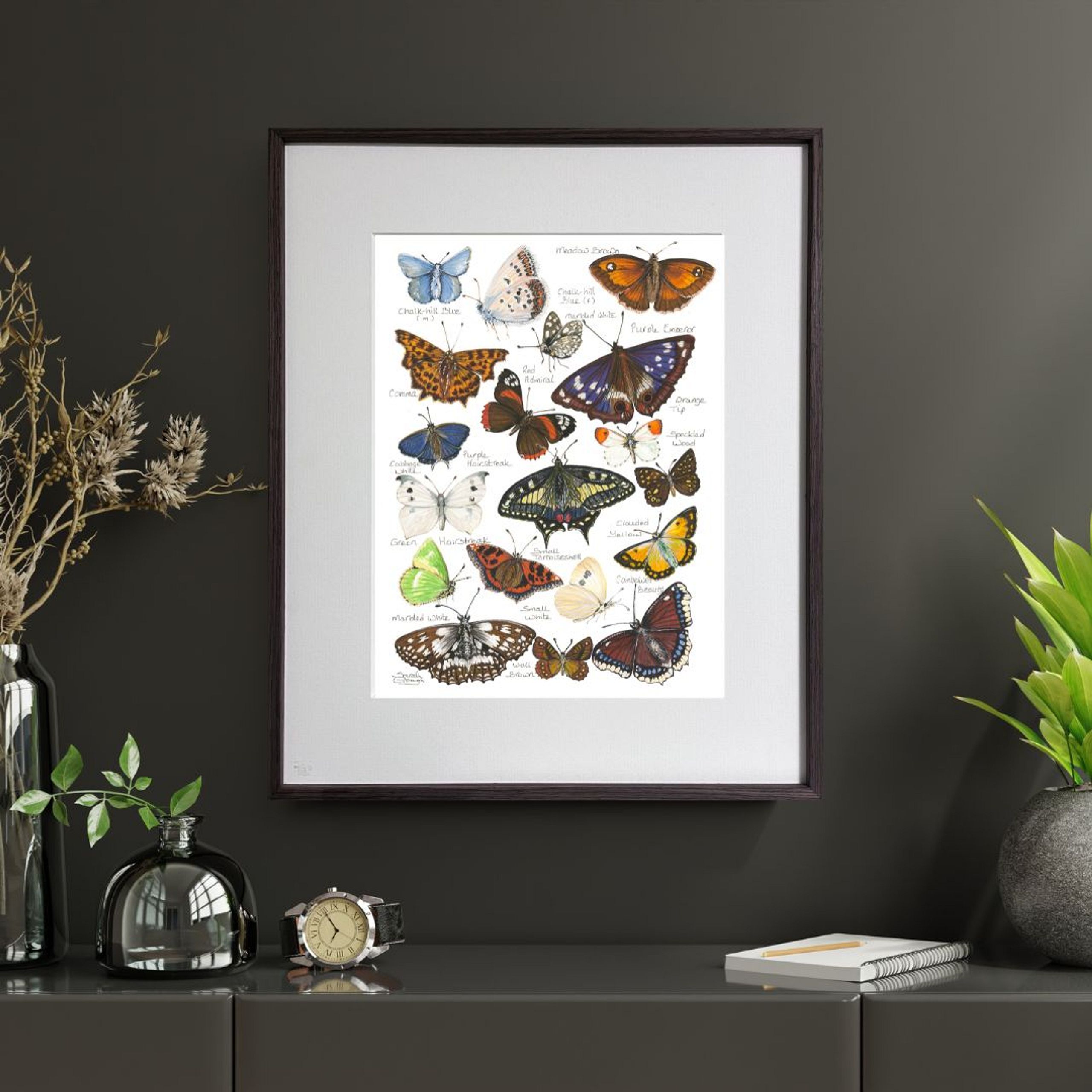 FINE ART PRINT Butterflies of Britain and Europe