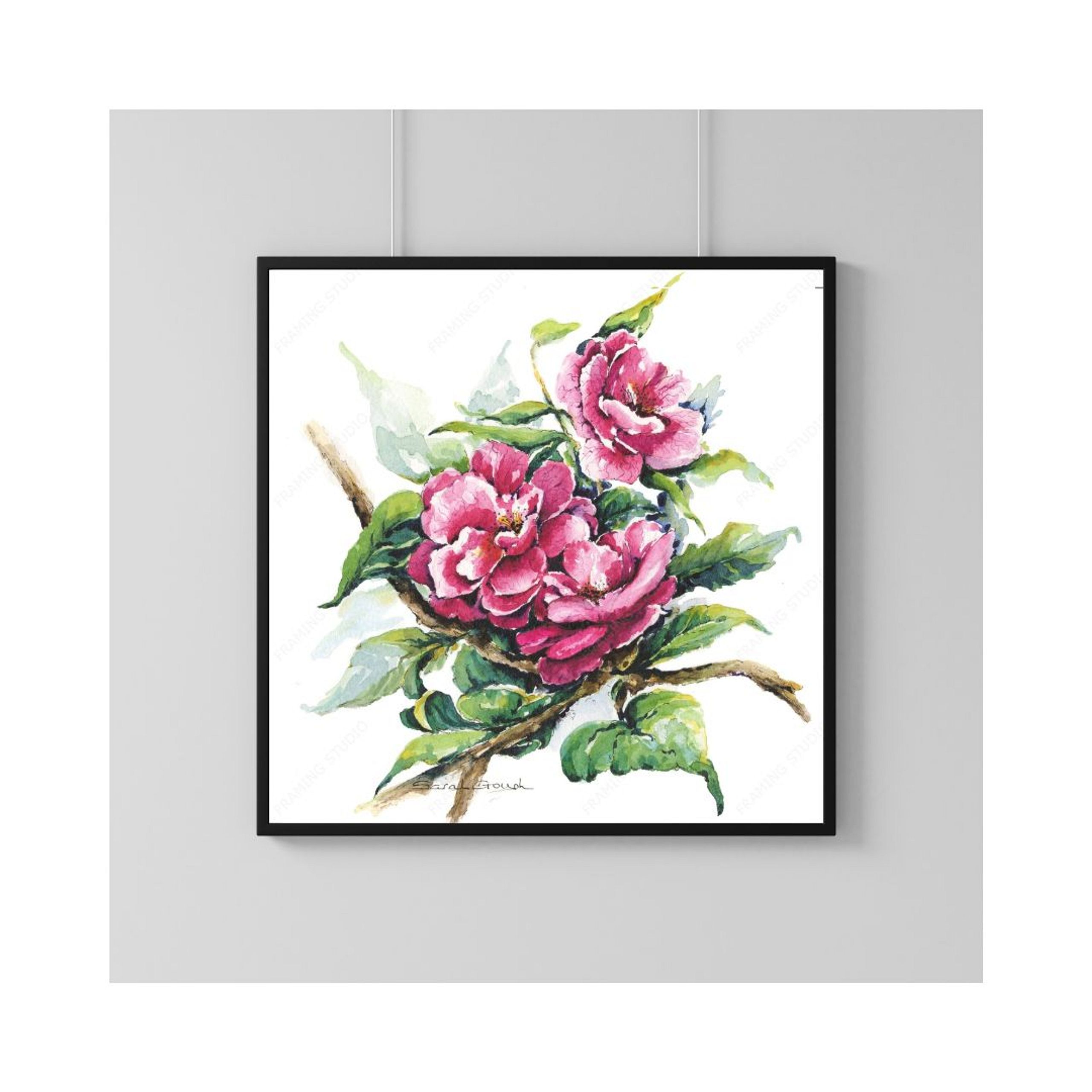 FINE ART PRINT Pink Camellia Blooms