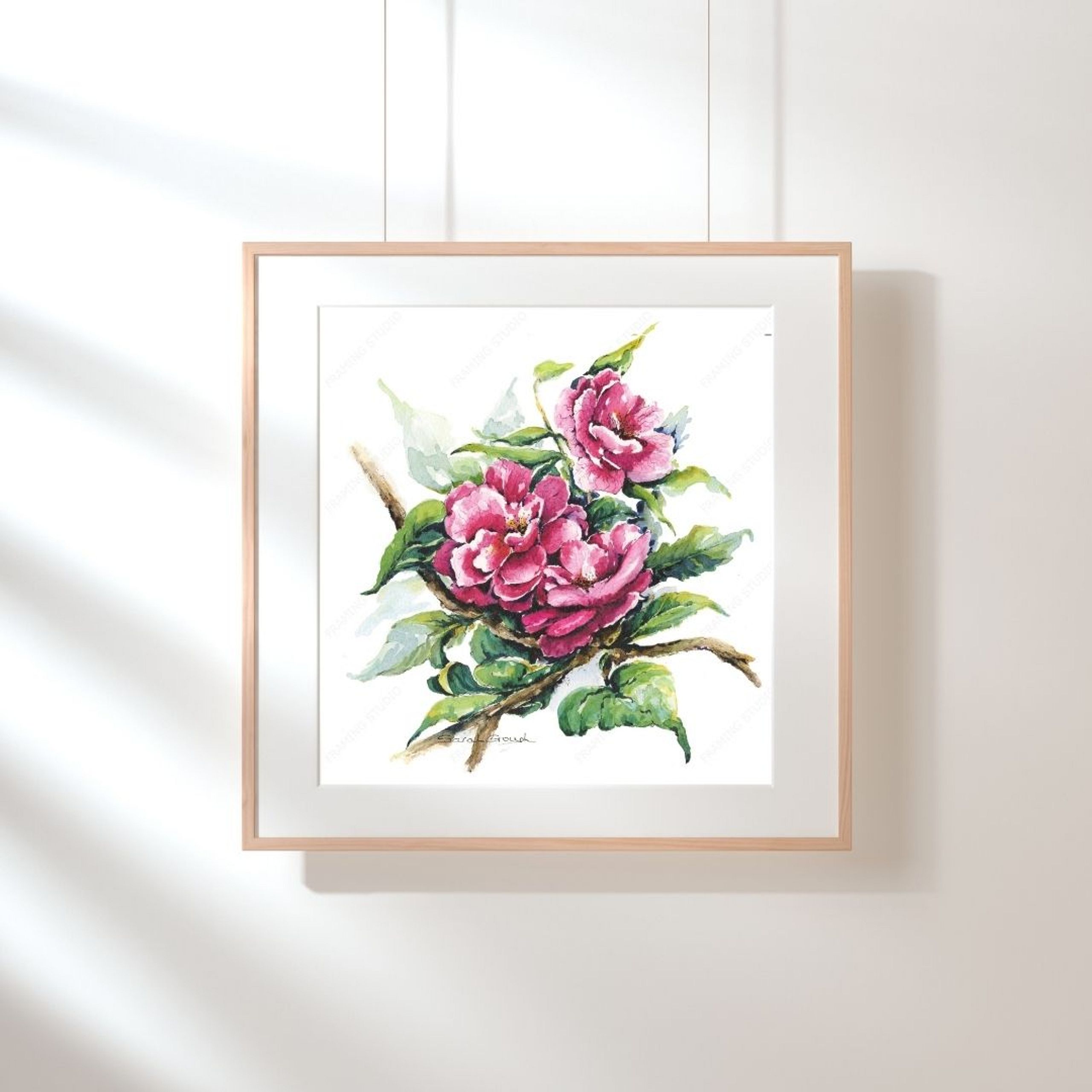 FINE ART PRINT Pink Camellia Blooms