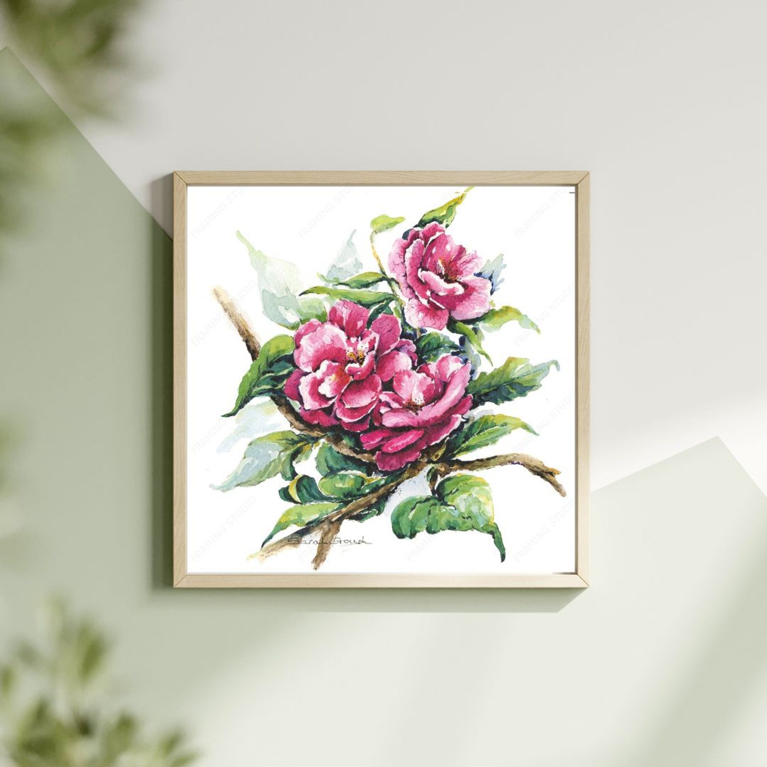 FINE ART PRINT Pink Camellia Blooms