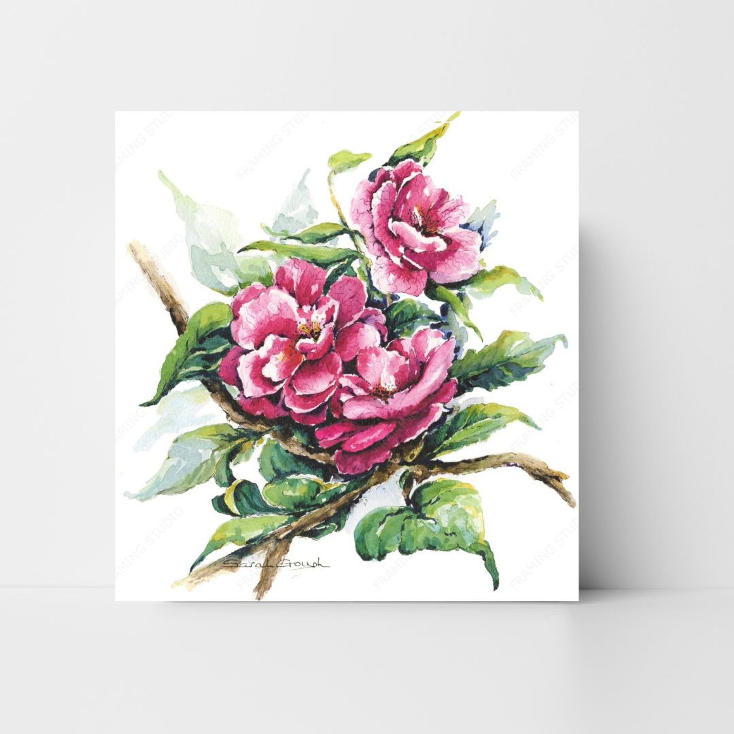 FINE ART PRINT Pink Camellia Blooms