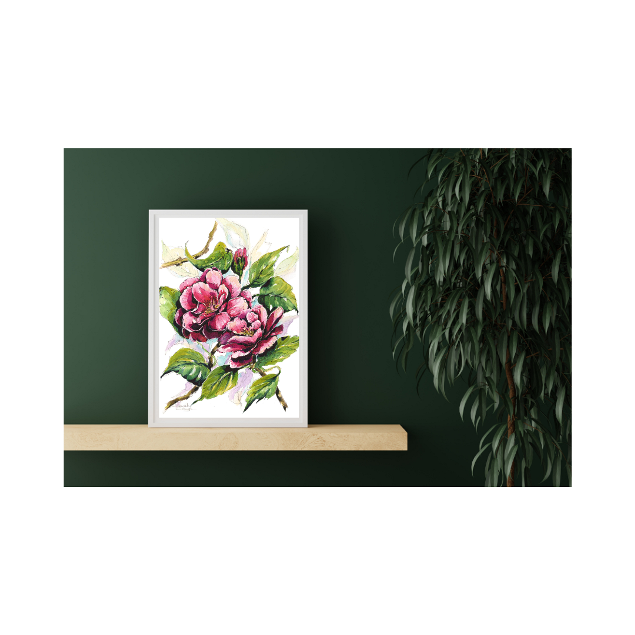 FINE ART PRINT Pink Camellia Flowers
